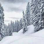 Hotel Hochkoenigin - Mountain Maria Alm am Steinernen Meer
