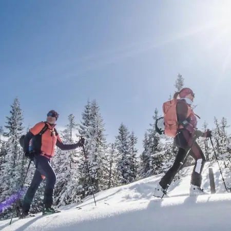 Hotel Hochkoenigin - Mountain