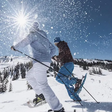 Hotel Hochkoenigin - Mountain