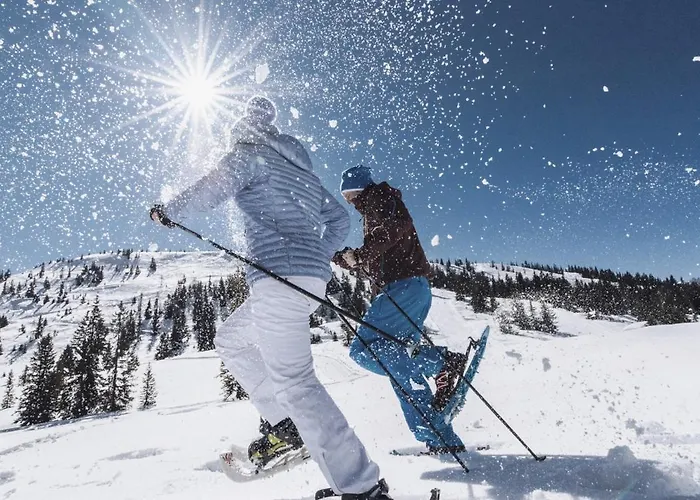 Hotel Hochkoenigin - Mountain