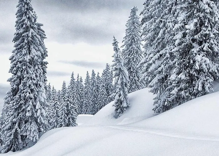 Hotel Hochkoenigin - Mountain Maria Alm am Steinernen Meer